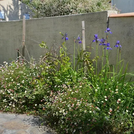 Pavillon Des Loritz Dom wakacyjny *